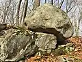 "Fish Rock" - a glacial erratic with a fish eye (November 2020)