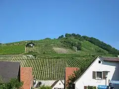 Schlossberg mountain seen from the valley. Difference in elevation is about 150&nbsp;m (500&nbsp;ft). The steepest vineyards are bringing the best wines.