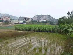 A rural landscape in Shentu Town