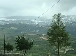 Snow covering Jabal Safi, view from Kafar Milki Feb. 2010