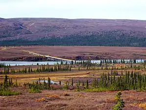 The Susitna River bridge on the Denali Highway is 1,036 feet (316&nbsp;m) long.
