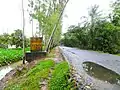 View of a road in Badarkhali, Chakaria, Cox's Bazar .