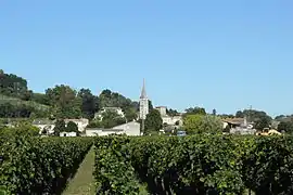 A general view of Saint-Michel-de-Fronsac